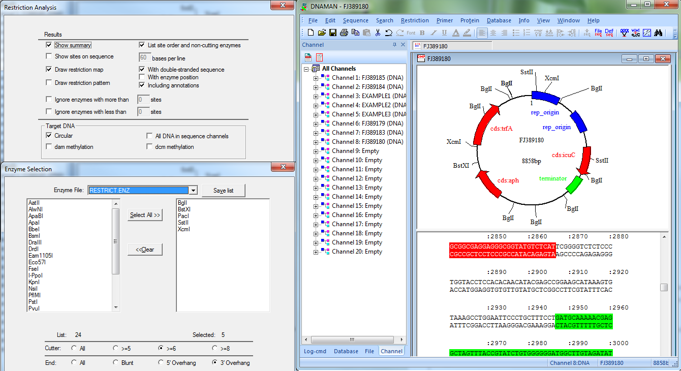 DNAMAN restriction analysis on Windows