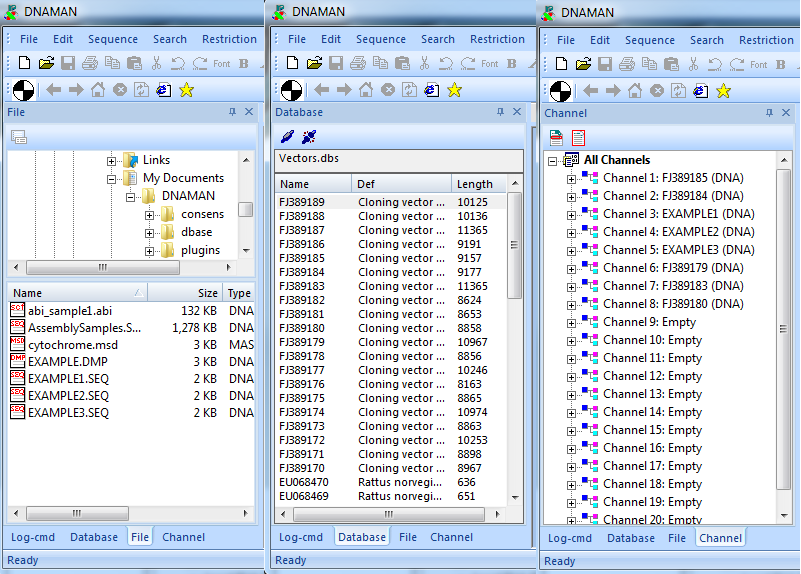 DNAMAN sequence input on Windows